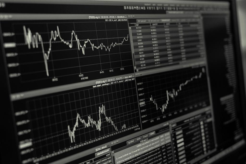Financial charts and growth graph on screen